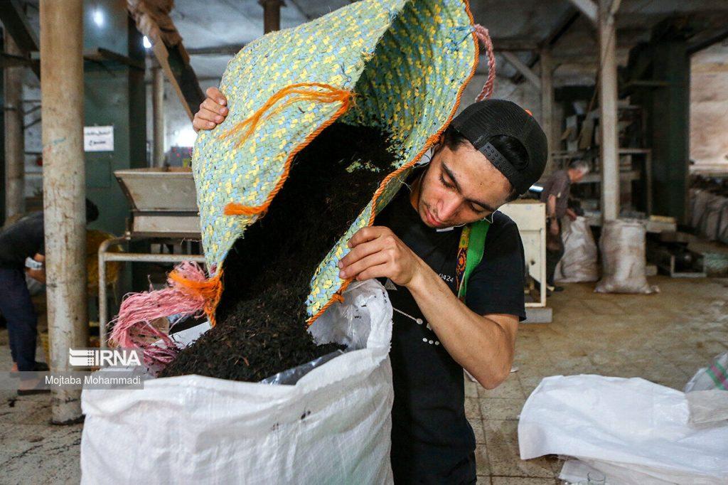 اندیشه شیروان