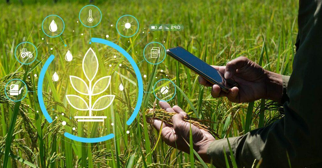 اندیشه شیروان