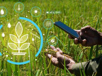 استفاده از هوش مصنوعی در تحقیقات گیاهپزشکی ضروری است