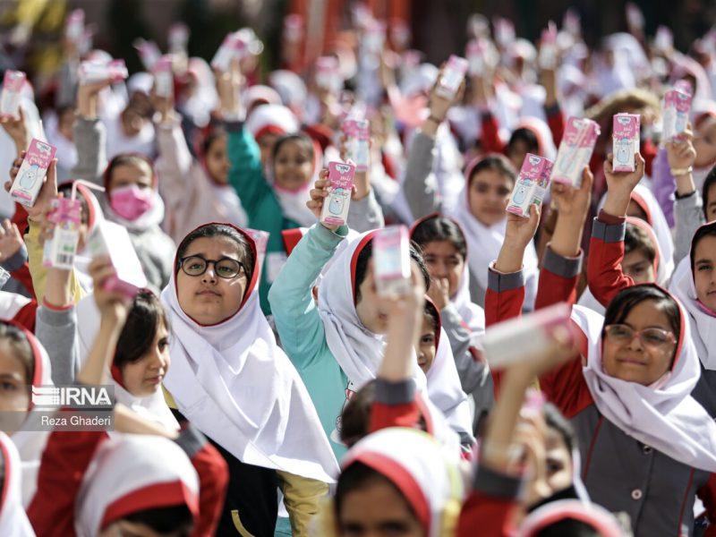 ۱۱۲ هزار دانش آموز زنجانی تحت پوشش طرح توزیع شیر رایگان هستند