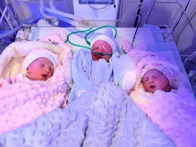 ثبت بیش از ۷۰۰ مورد چندقلوزایی در آذربایجانغربی/سهم ۴.۵ درصدی از تولدها