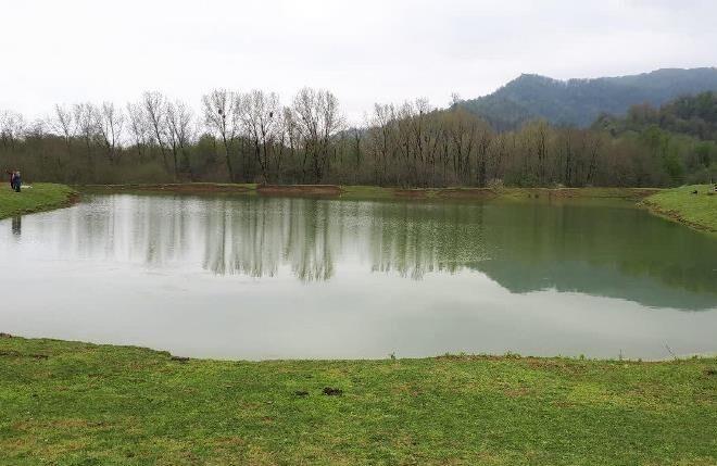 اندیشه شیروان