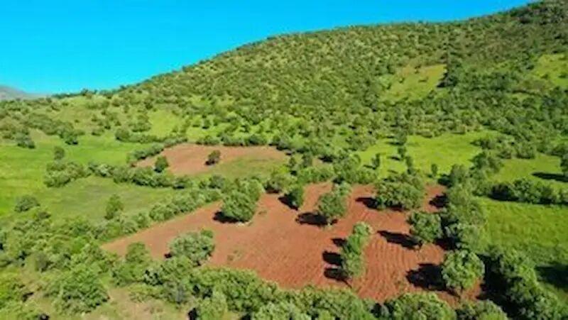 اندیشه شیروان