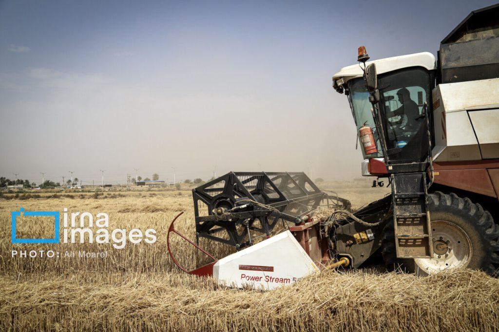 اندیشه شیروان