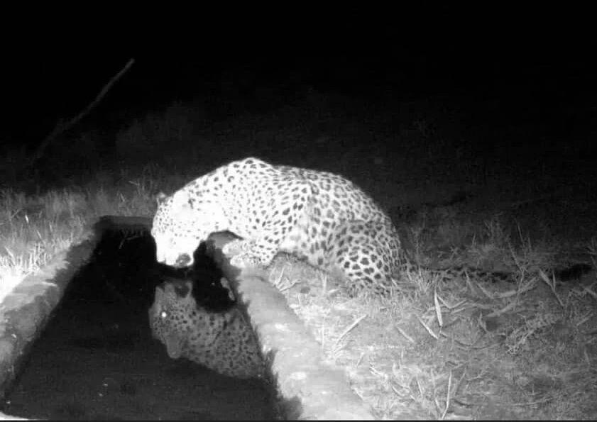 اندیشه شیروان