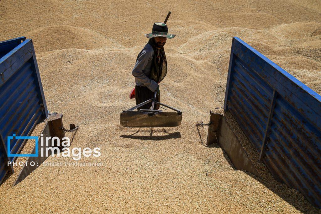 اندیشه شیروان