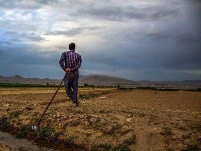 خشکسالی بیش از پنج هزار میلیارد ریال به مراتع خراسان شمالی خسارت زد