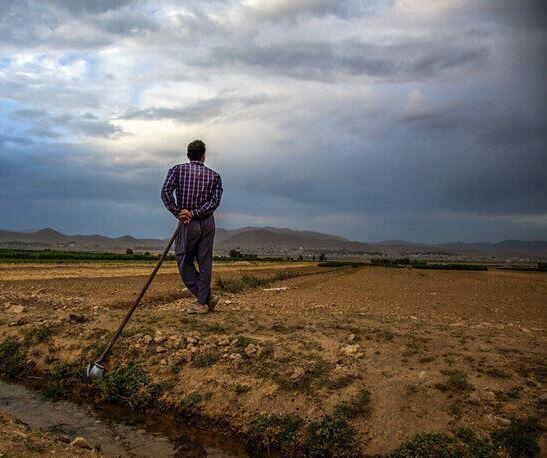 خشکسالی بیش از پنج هزار میلیارد ریال به مراتع خراسان شمالی خسارت زد