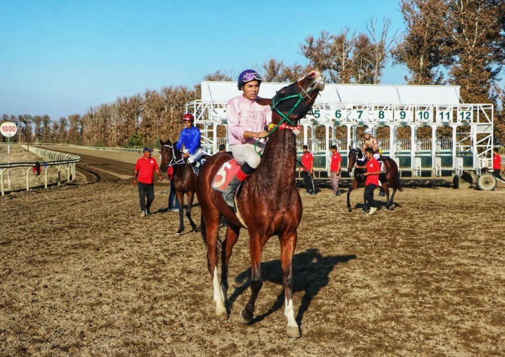 اندیشه شیروان