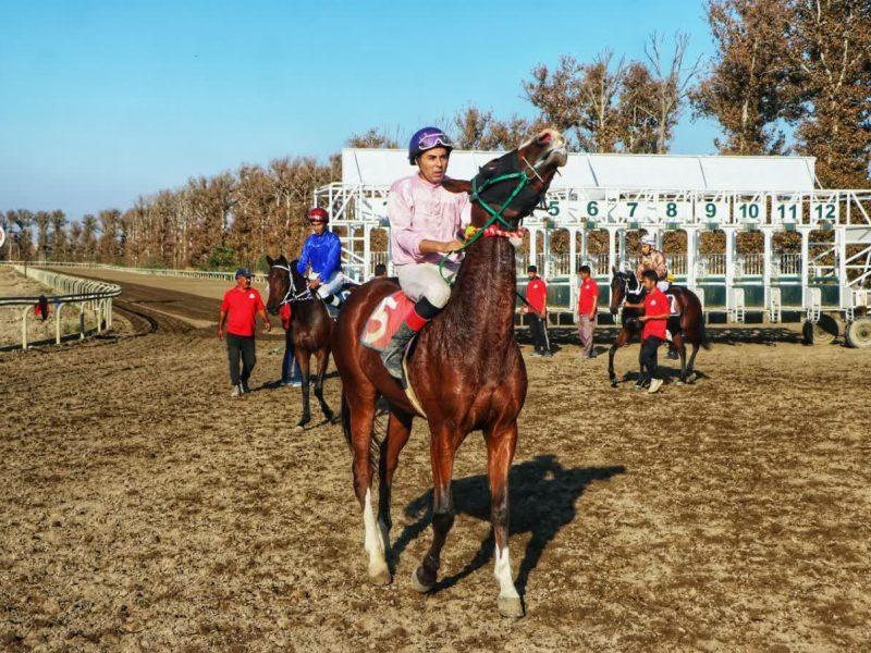 جوایز مسابقات اسبدوانی گنبدکاووس ۳۰ درصد افزایش یافت