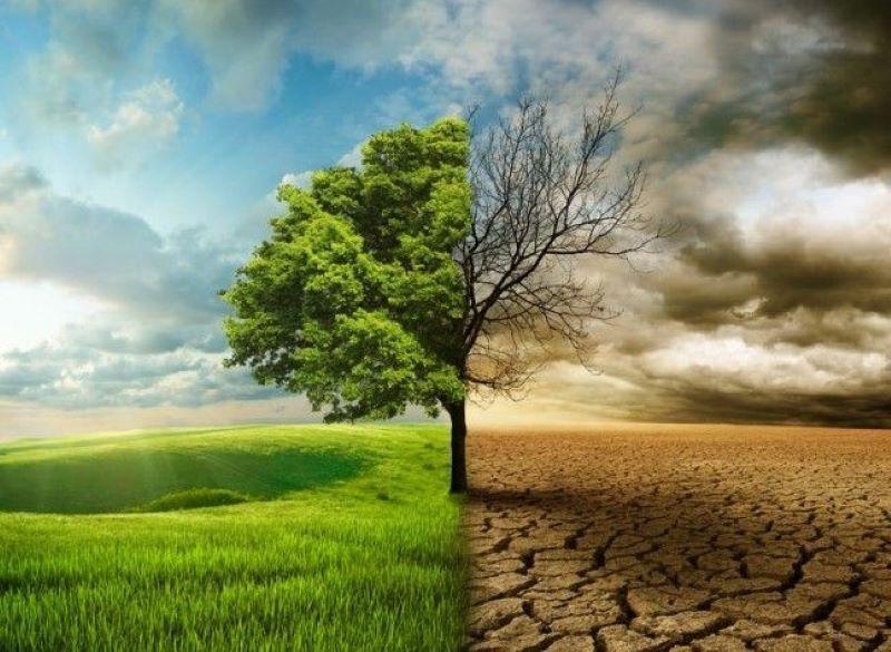 معاون استاندار: سمنان بهترین استان برای مطالعه تغییرات اقلیمی است