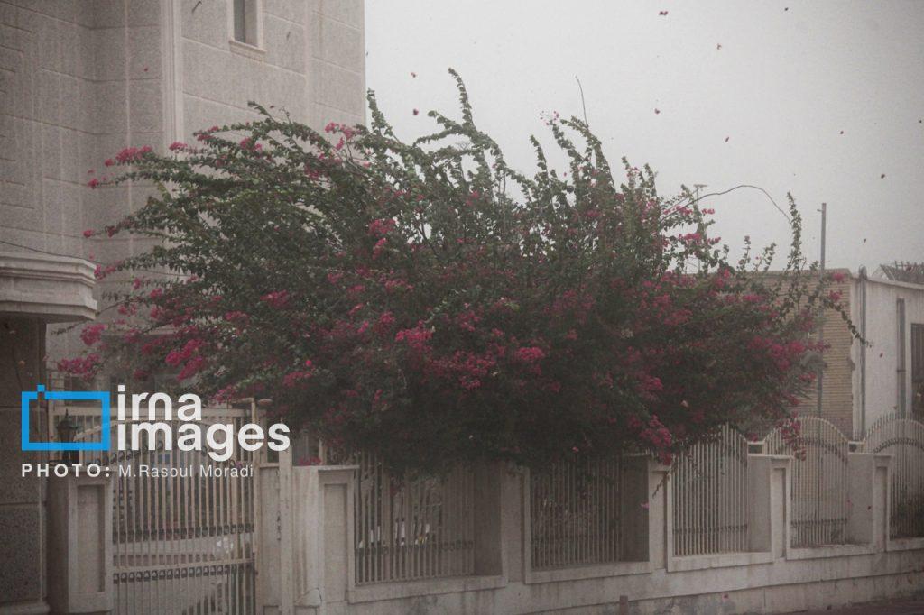 اندیشه شیروان