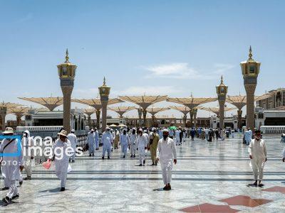 معاون سازمان حج و زیارت: مقدمات صدور روادید برای حج سال آینده فراهم شد