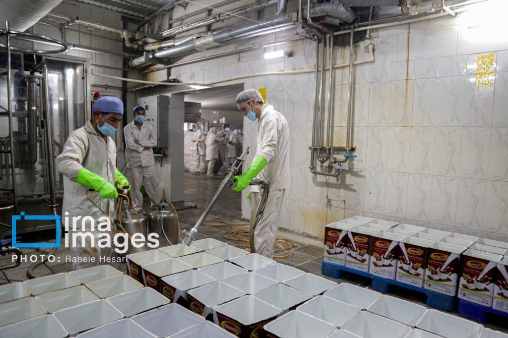 اندیشه شیروان