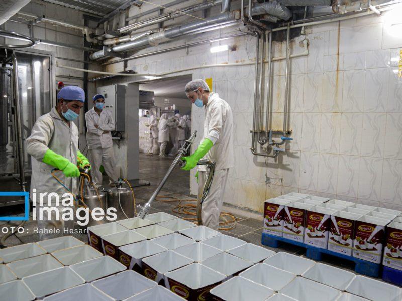 سیاستهای کلان اقتصادی، بنگاه و نیروی کار را همزمان تضعیف کرده است