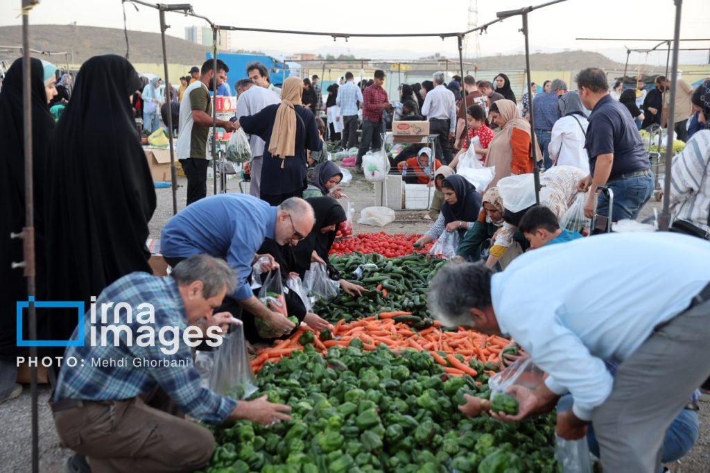 اندیشه شیروان