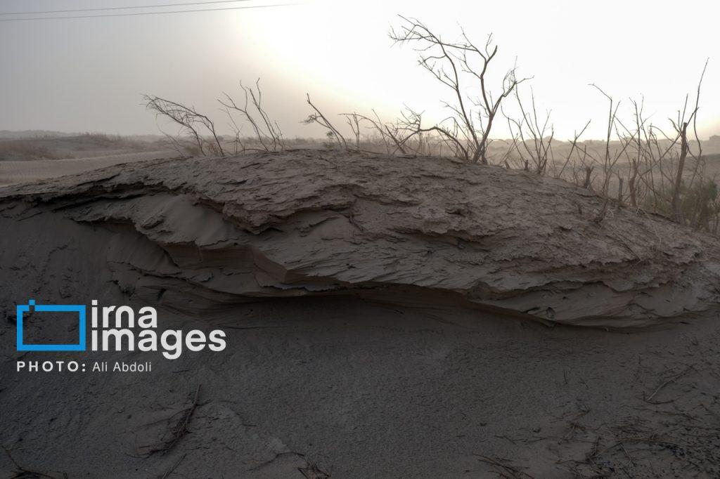 اندیشه شیروان