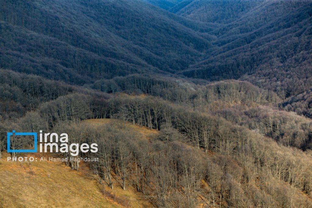 اندیشه شیروان