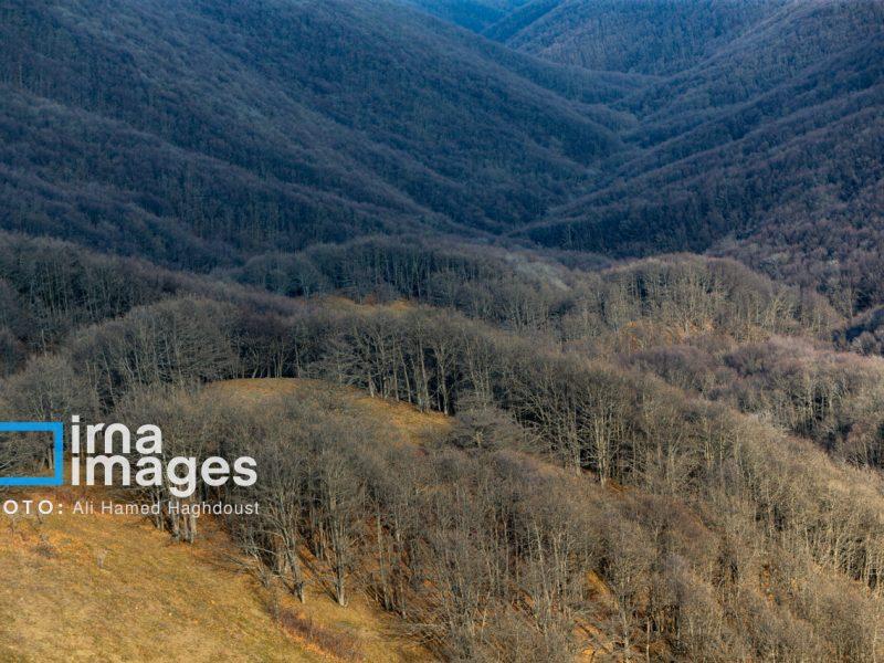 کارگروههای استانی با محوریت سازمان محیطزیست تشکیل میشود