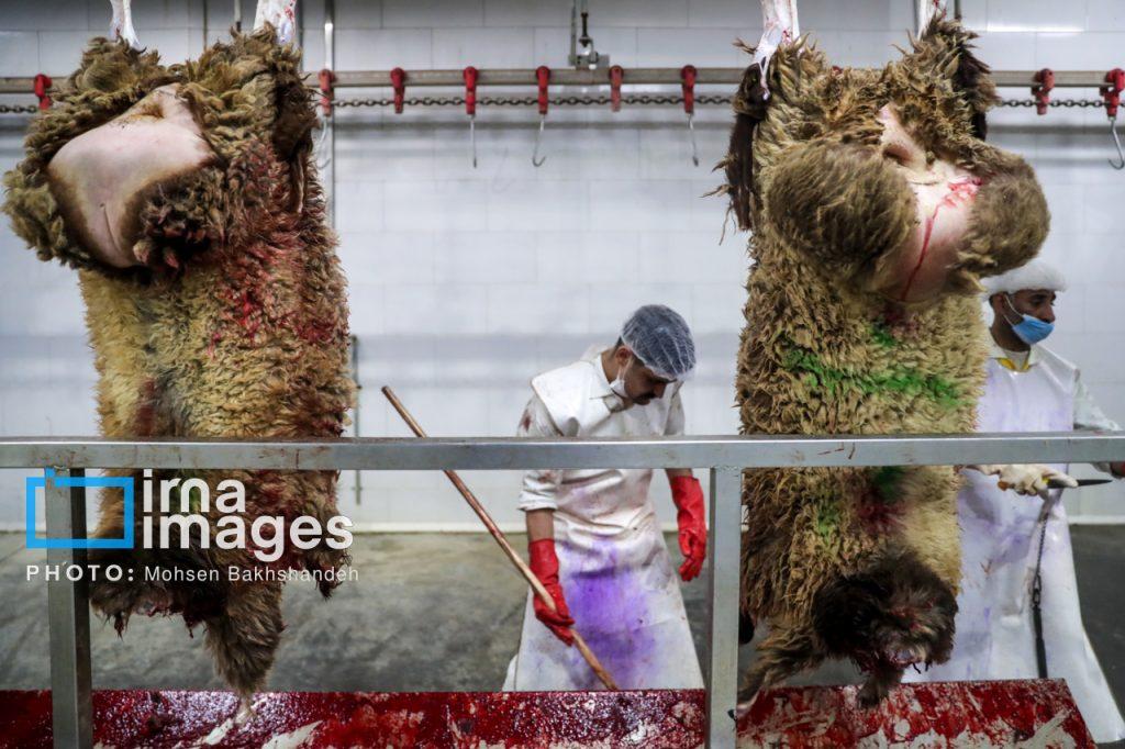 اندیشه شیروان