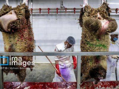 قطب تولید گوشت خراسان رضوی، کشتارگاه صنعتی ندارد