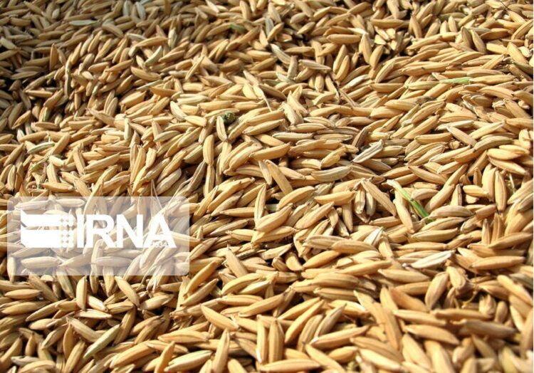 سه هزار و ۵۵۰ تن نهاده دامی به خراسانشمالی اختصاص یافت