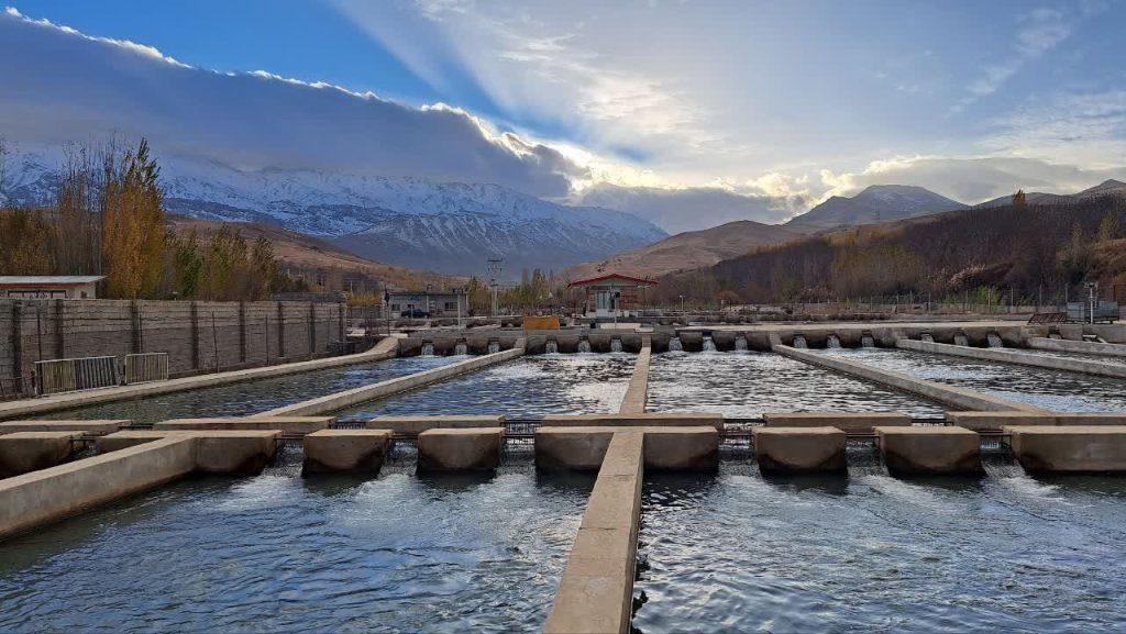 اندیشه شیروان