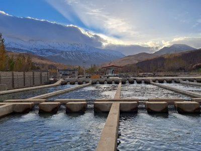 آبزیپروری در کرمانشاه جان تازه گرفت؛ افزایش ۲۸۰۰ تُن تولید و اشتغال پایدار برای صدها نفر