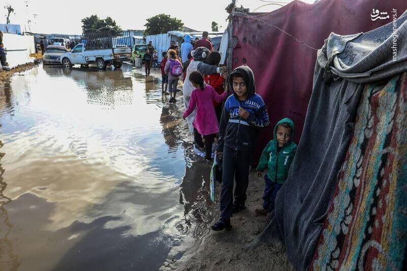 هشدار سازمان ملل و ۲۰۰ نهاد امدادرسان درباره خطر فروپاشی کامل فعالیتهای انسانی در غزه