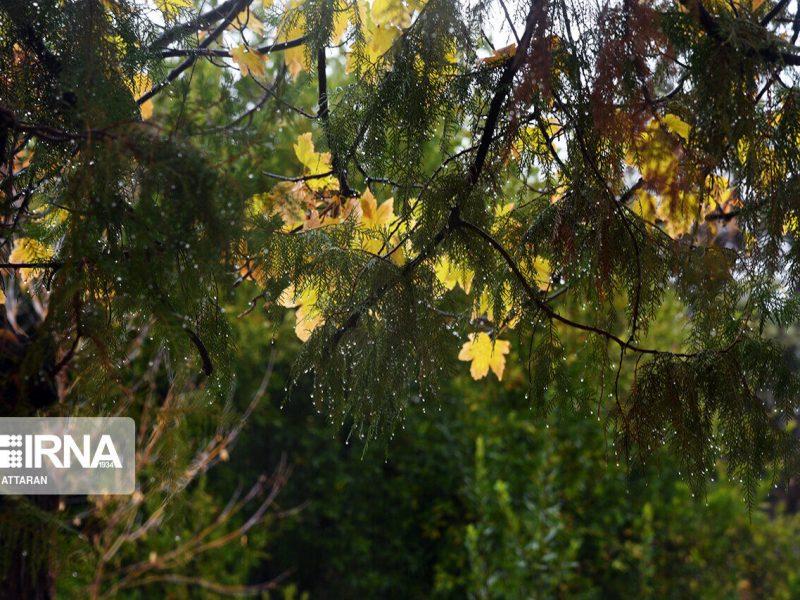 تداوم هشدارها در کرمان؛ ناپایداریهای جوی تا صبح چهارشنبه