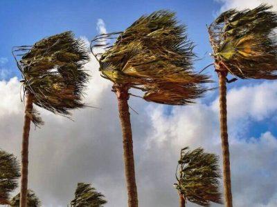 اسب وونی تالش رکوردار وزش باد در گیلان شد