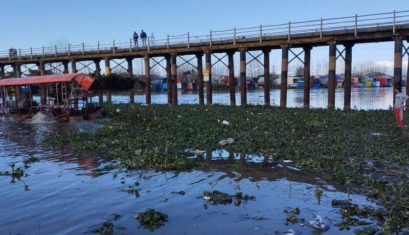 نهنگ روگا تالاب انزلی از گیاه مهاجم سنبل آبی با دستگاه دروگر پاکسازی شد