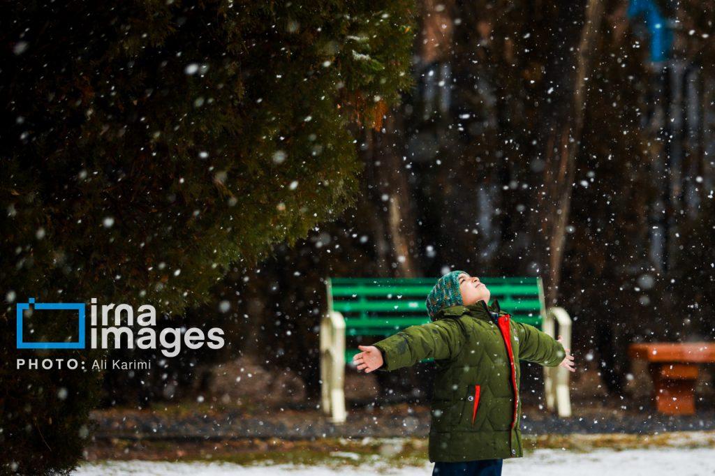 اندیشه شیروان