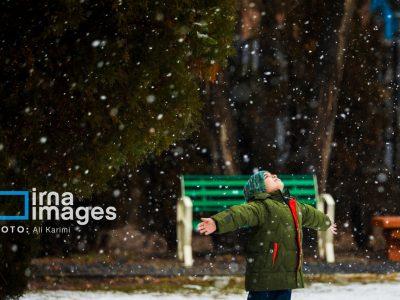 بارش برف، مدارس زنجان را غیرحضوری کرد