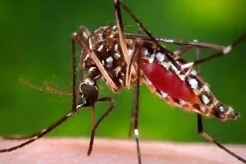 اندیشه شیروان