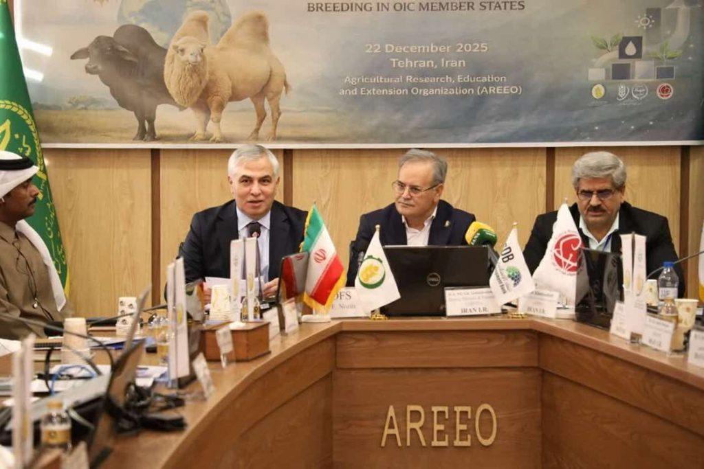 اندیشه شیروان