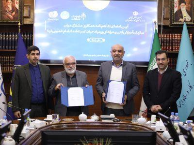 اقشار محروم و آسیبپذیر آموزشهای مهارتی دریافت میکنند