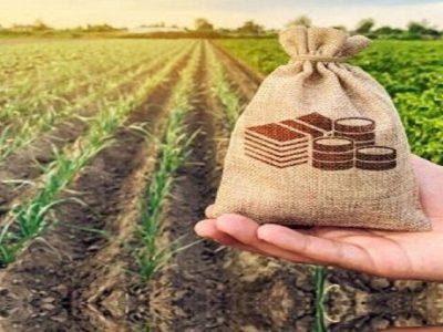 سرمایه صندوق بیمه کشاورزی ۴۰ برابر شد