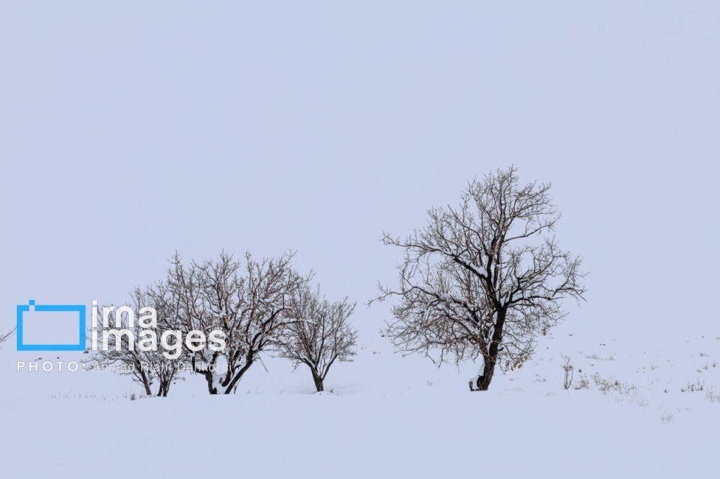 اندیشه شیروان