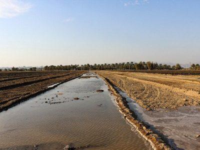 بیش از ۸۵ درصد آب در کشاورزی؛ خودکفایی یا خودویرانگری؟