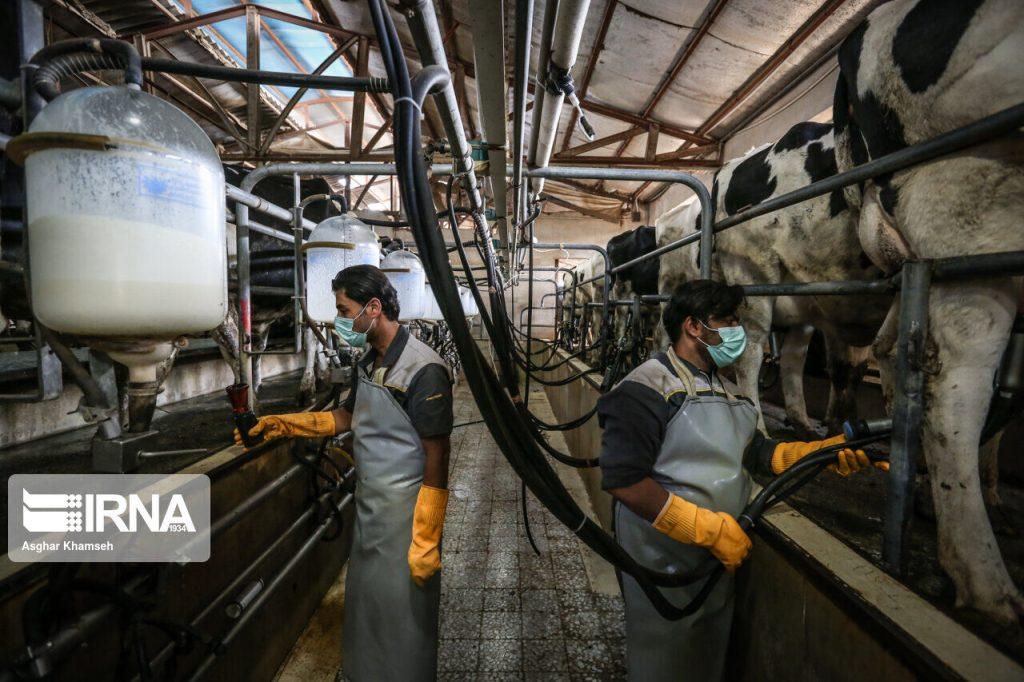 اندیشه شیروان