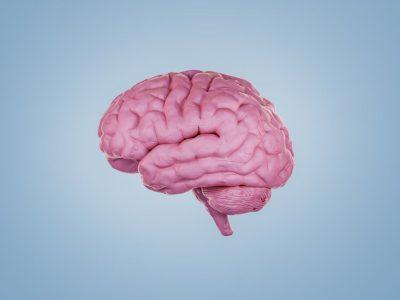 دستاوردهای امیدوارکننده ۲۰۲۵ برای مغز سالمندان