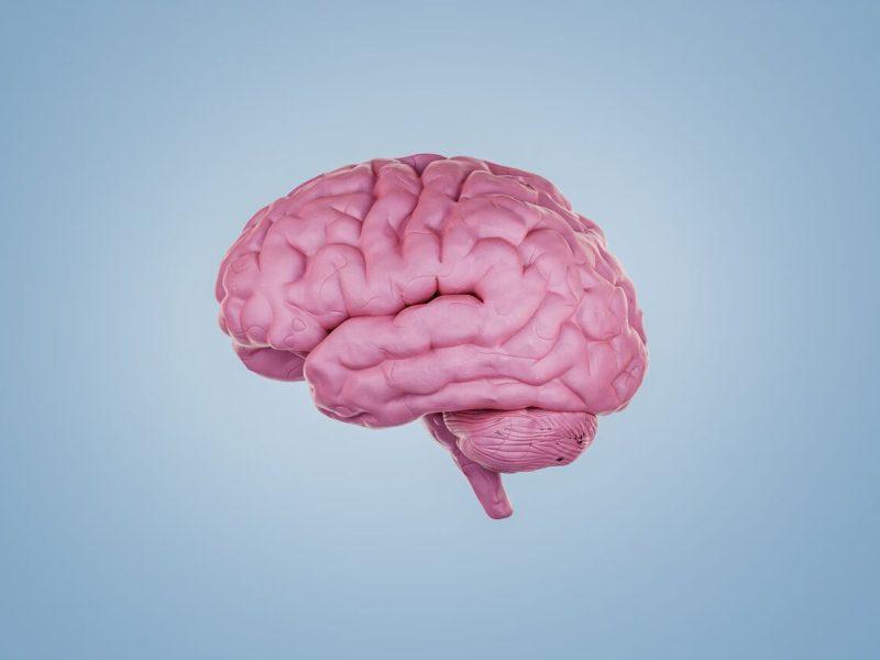 دستاوردهای امیدوارکننده ۲۰۲۵ برای مغز سالمندان