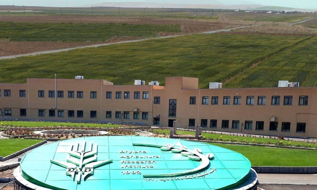 اندیشه شیروان