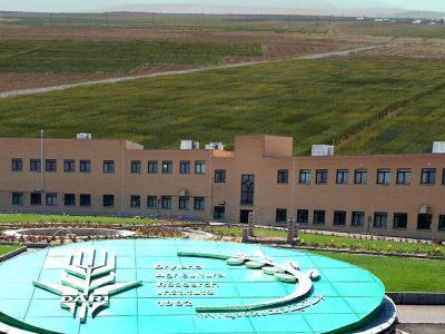 اجرای ۱۲۵ طرح پژوهشی توسط موسسه تحقیقات کشاورزی دیم