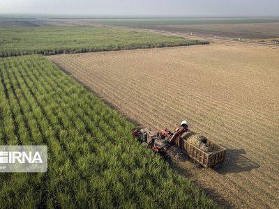 افزون بر هزار میلیارد ریال به کشاورزی مانه خراسان شمالی اختصاص یافت
