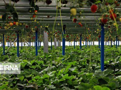 دولت چهاردهم سکوی پرتاب خراسان شمالی به سوی کشاورزی نوین