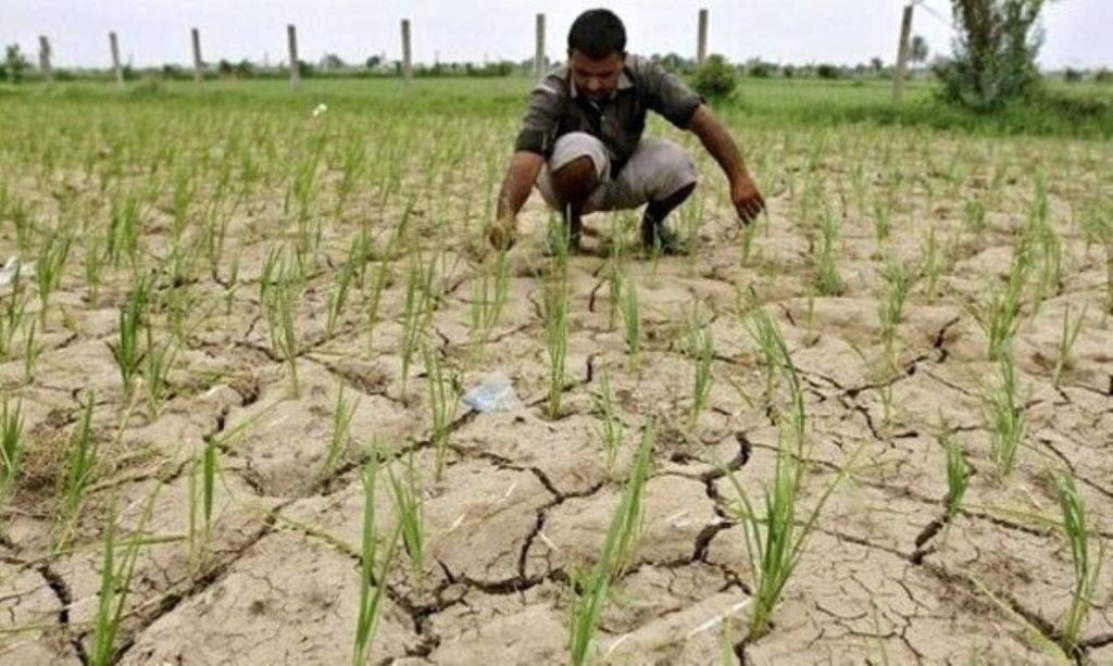 اندیشه شیروان