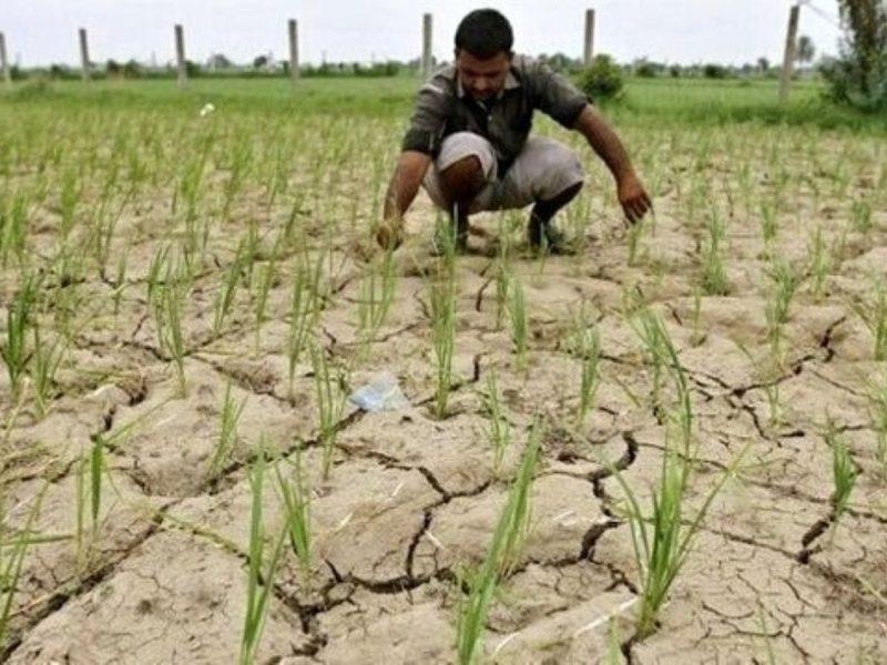 محدودیت منابع آبی و ضرورت تغییر الگوی کشت در طارم