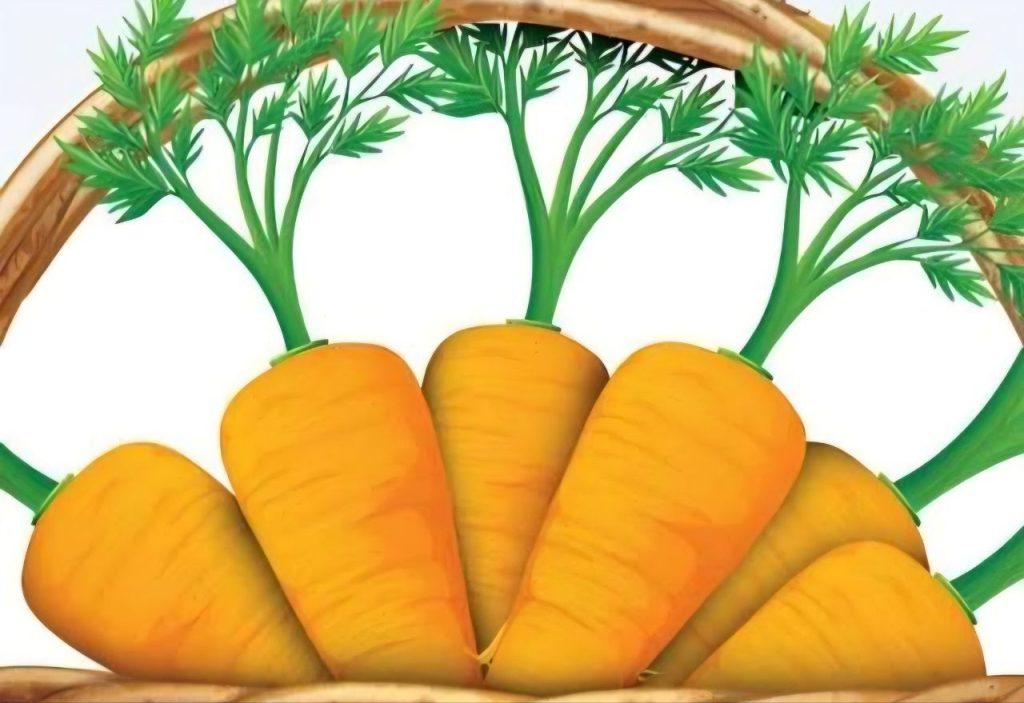 اندیشه شیروان